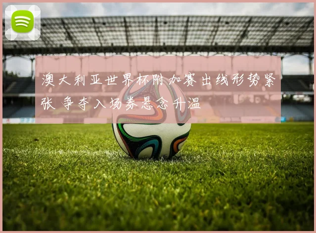 澳大利亚世界杯附加赛出线形势紧张 争夺入场券悬念升温