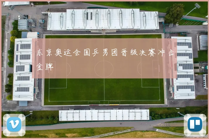 东京奥运会国乒男团晋级决赛冲击金牌