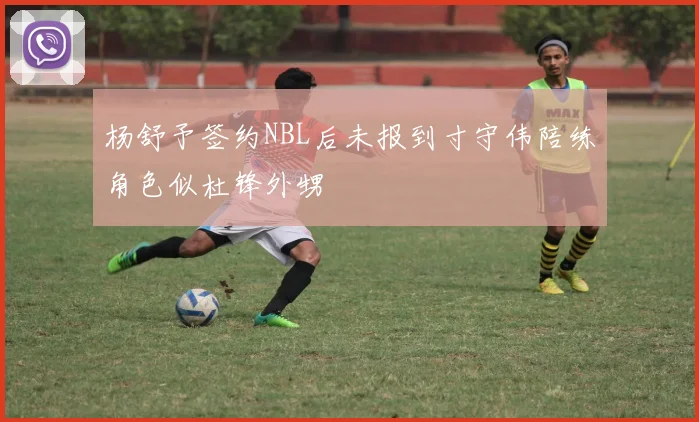 杨舒予签约NBL后未报到寸守伟陪练角色似杜锋外甥