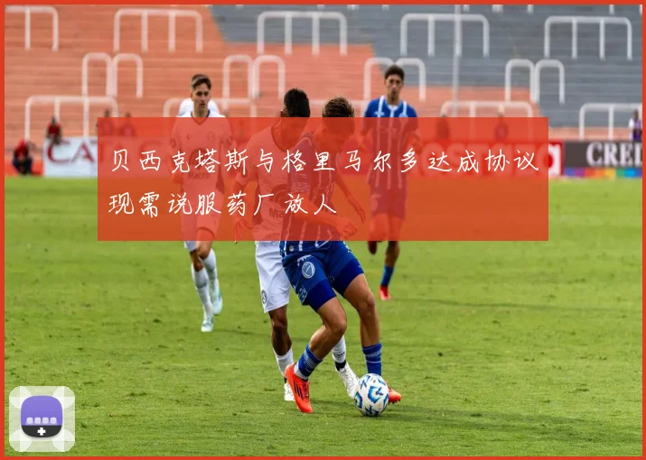 贝西克塔斯与格里马尔多达成协议现需说服药厂放人