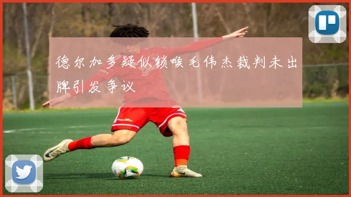 德尔加多疑似锁喉毛伟杰裁判未出牌引发争议