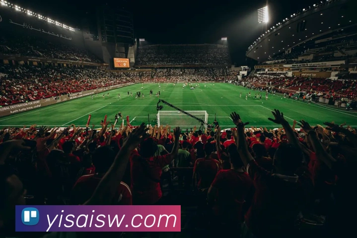 星空体育最新官网发展历程